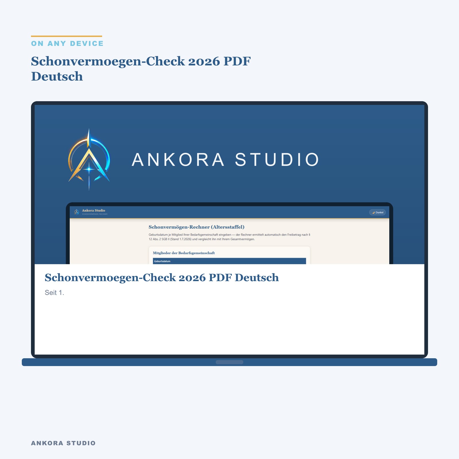 Schonvermögen-Check 2026 PDF Deutsch
