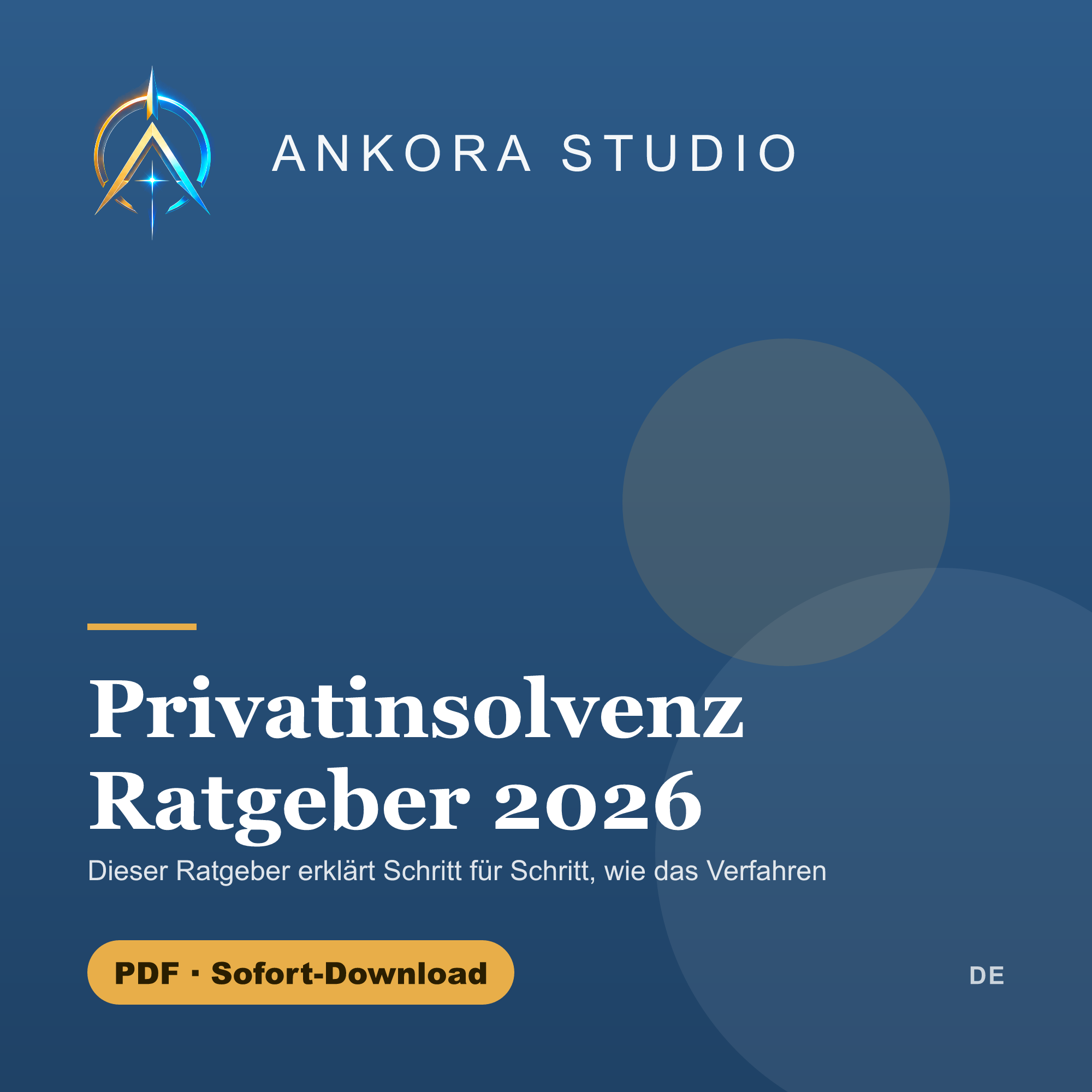 Privatinsolvenz Ratgeber 2026 PDF