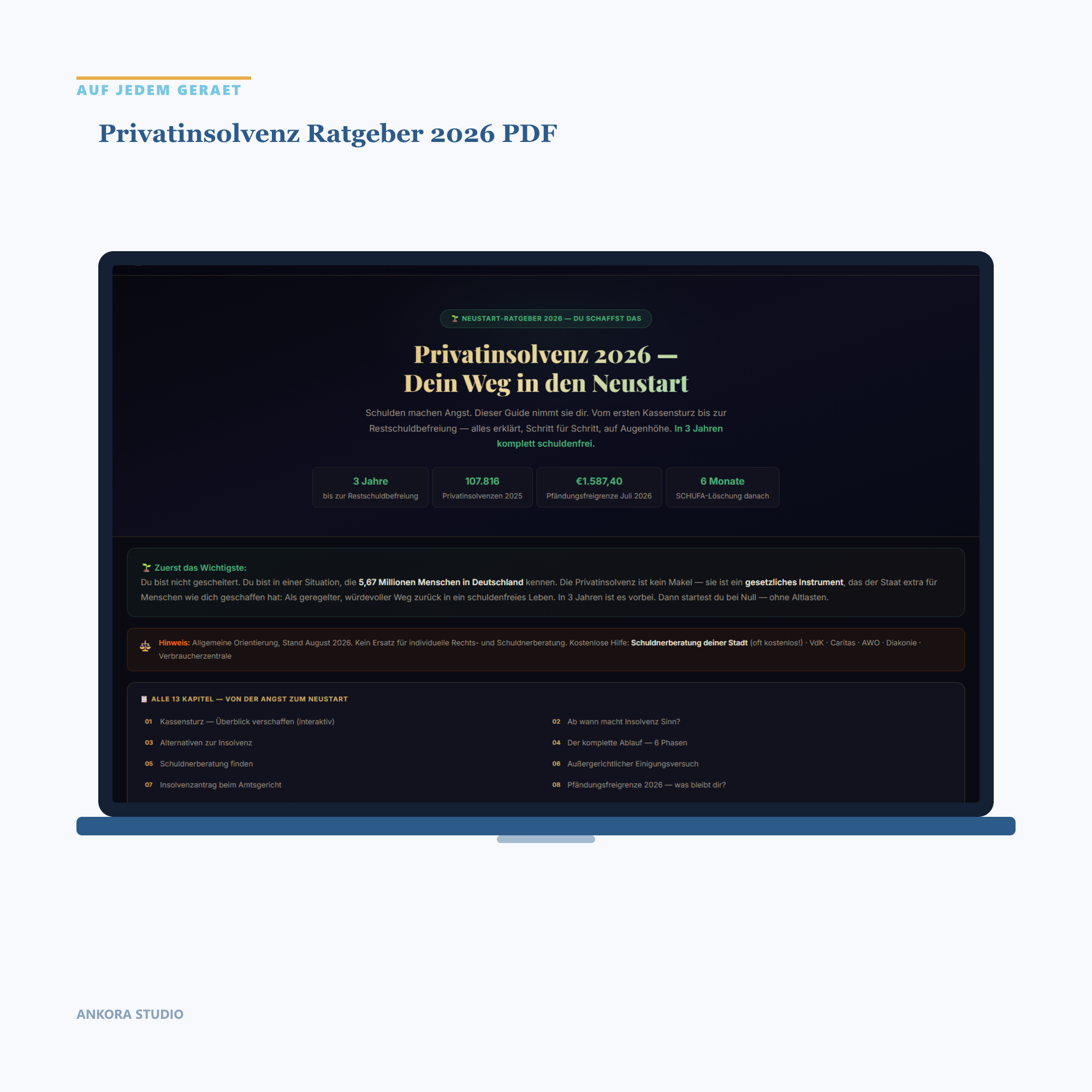Privatinsolvenz Ratgeber 2026 PDF